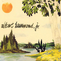 Albert Hammond Jr.