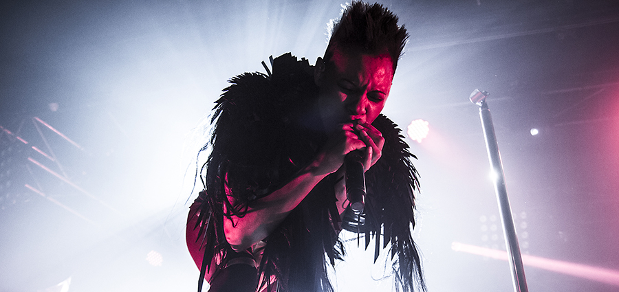 Skunk Anansie (Héctor H. Punto)