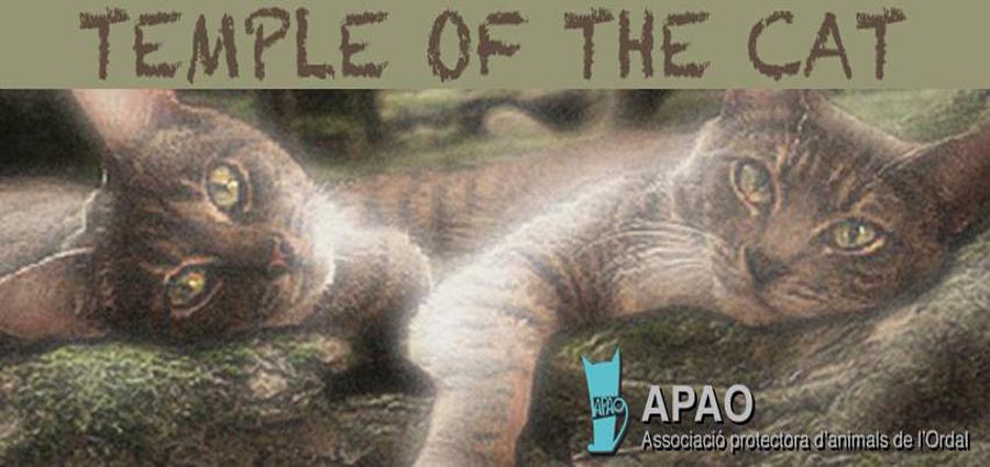 APAO / Temple Of The Cat