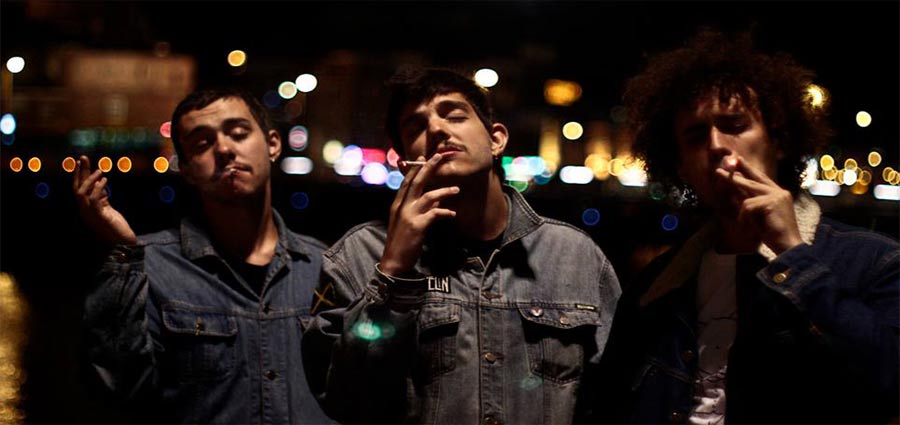 The Parrots