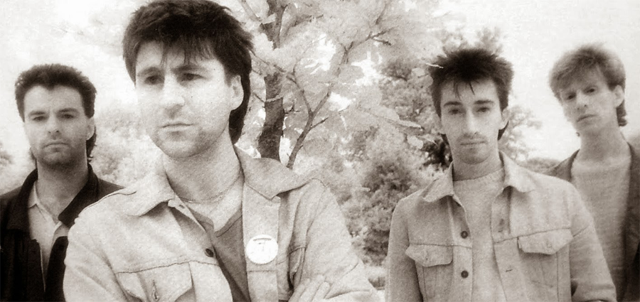 Chameleons Vox