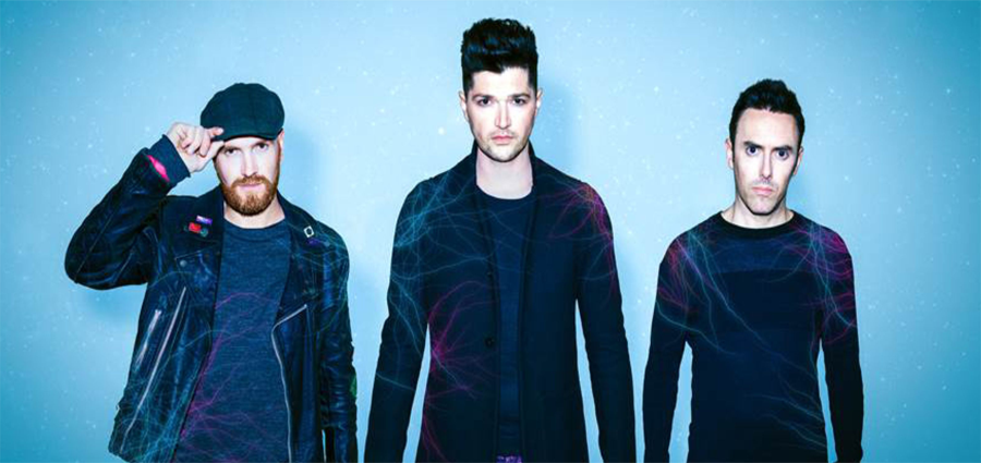 The Script