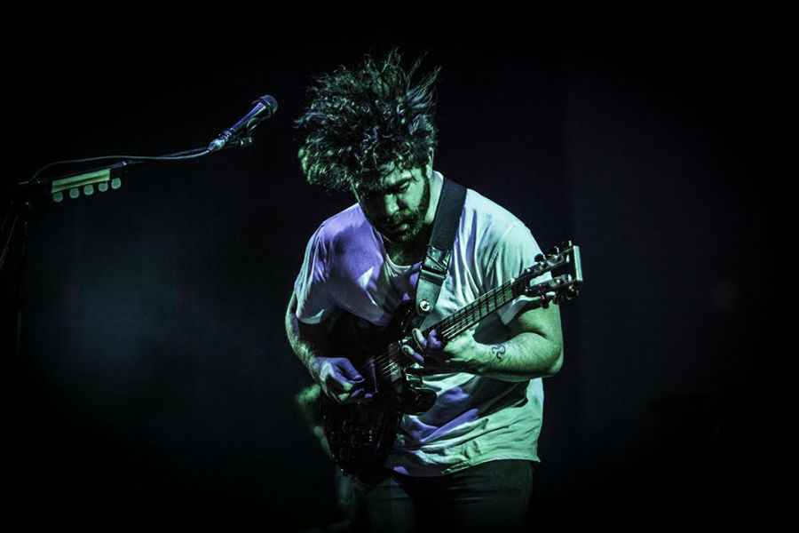 Foals