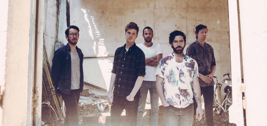 Foals