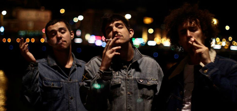 The Parrots