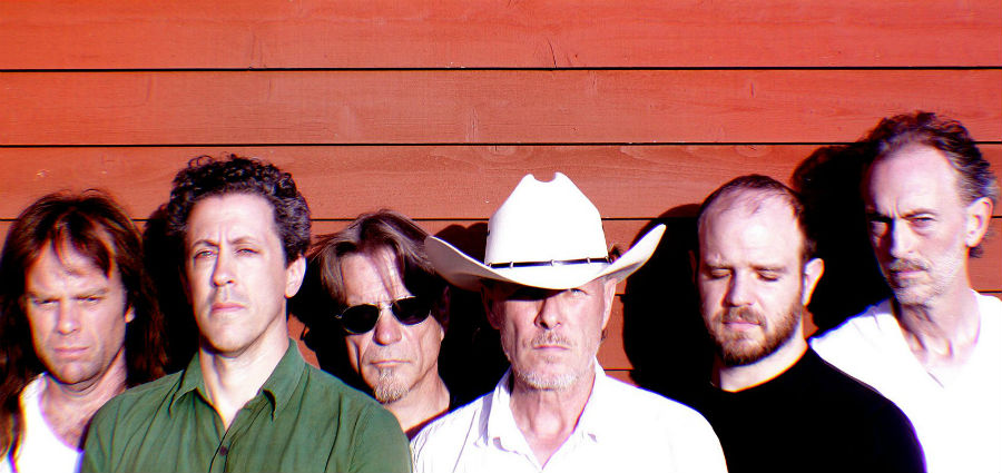 Swans