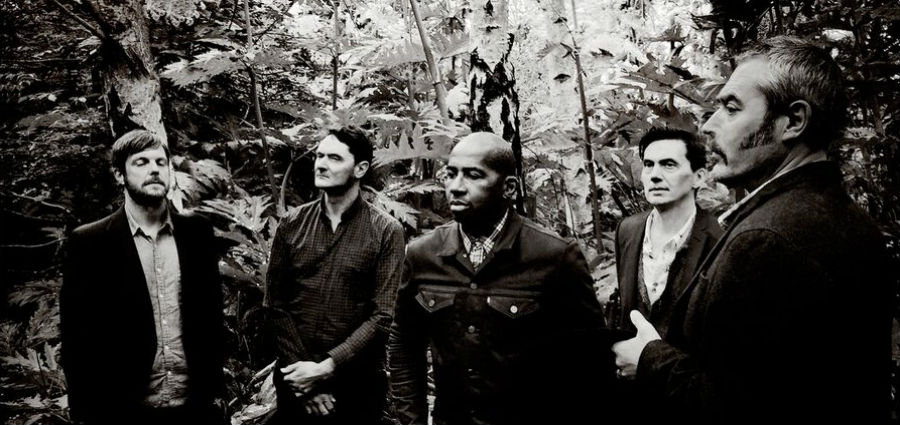 tindersticks