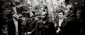tindersticks